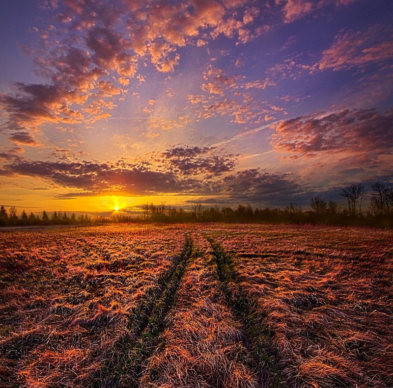 tranquil scene, clouds, black, no people, orange color, cloud - sky, plant, landscape, grass, table, sunlight, scenics - nature, dramatic sky, path, agriculture