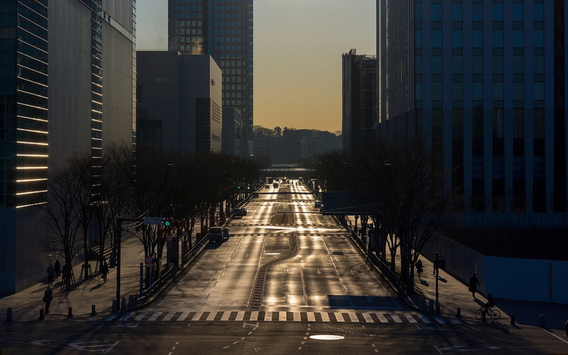 1080P, city, lights, trees, street, cityscape, crossroads