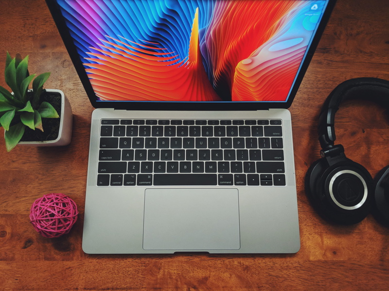 laptop, plant, audio technica, high angle view, table, food and drink, connection, 11, technology, beautiful desks, wireless technology, communication