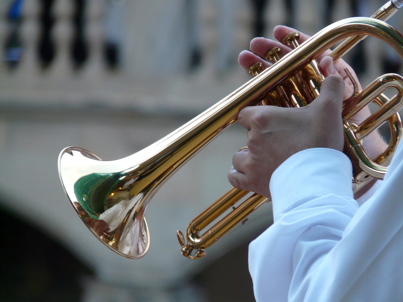 gold colored, arts And Entertainment, musician, instrument, musical equipment, brass Band, dress, skill, finger, wind Instrument, brass Instrument, trumpet player