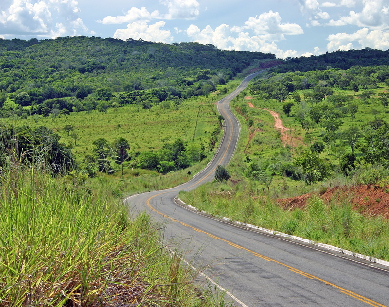 tranquil scene, pave, beauty in nature, easy rider, day, sem destino, gray, Grass, curve, outdoors, 2K, Road, Trees, scenics - nature, sem, green color