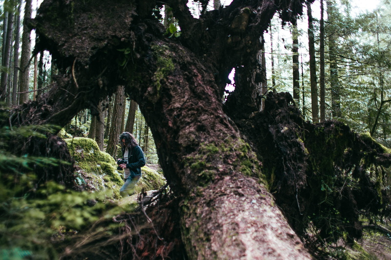 plant, dslr, voyager, camera, professional, picture, two people, leisure activity, landscape, land, travel, male, tree trunk, standing, activity, optical