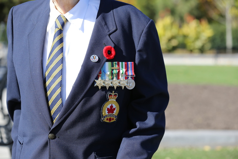 well-dressed, menswear, midsection, one person, lifestyles, medal, business, event, award, poppy day, canadian in uniform, day, decoration, full suit, military