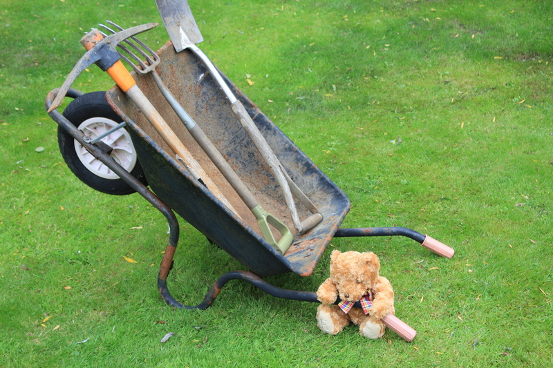 green color, gardening, animal, land, teddy bear, hug, pick axe huggable, spade, strength, fluffy, tools, fork, growth, day, 5K, pickaxe, mammal, outdoors