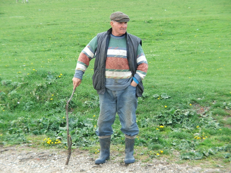 Male, leisure activity, Farmer, plant, romania, one man only, gardening, Agriculture, outdoors, pickaxe, Standing, men, lifestyles, gray, green color, poor