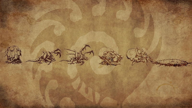 insect, wall - building feature, art and craft, close-up, logo, textured, revolution, pattern, antique, floral pattern, 1080P, StarCraft, decoration, backgrounds