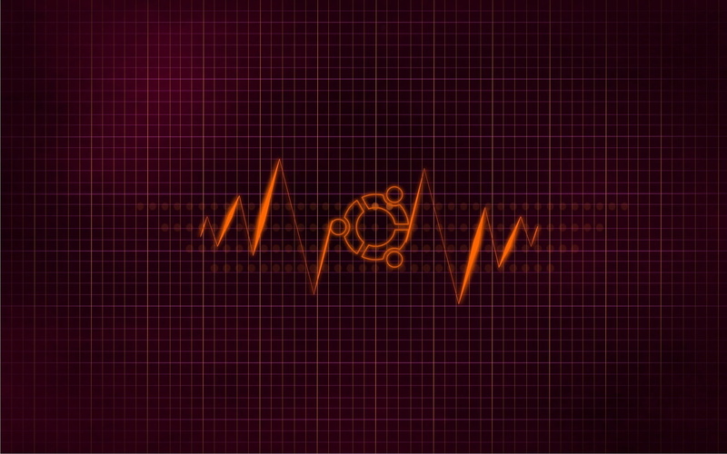 graph, zag, science, close-up, pattern, orange, medical Exam, healthcare And Medicine, shape, medical Test, animal themes, chart, modern, red, pulse Trace