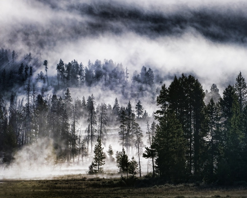 forest, 720P, mega, please, nature, walls, forests, hd, volcano, x, art