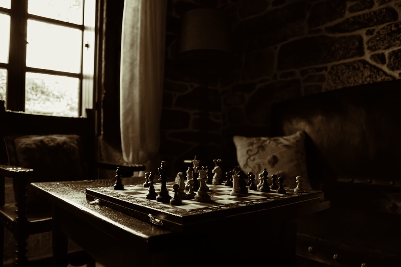 still life, chess piece, set, domestic room, absence, beside, hearth, pillow, chess game, window, day, chessboard, arts culture and entertainment, chess board