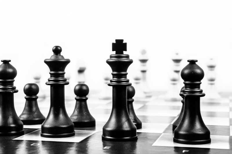 chess piece, competition, chess, arts culture and entertainment, no people, close-up, wooden, wood - material, focus on foreground, relaxation, knight - chess piece