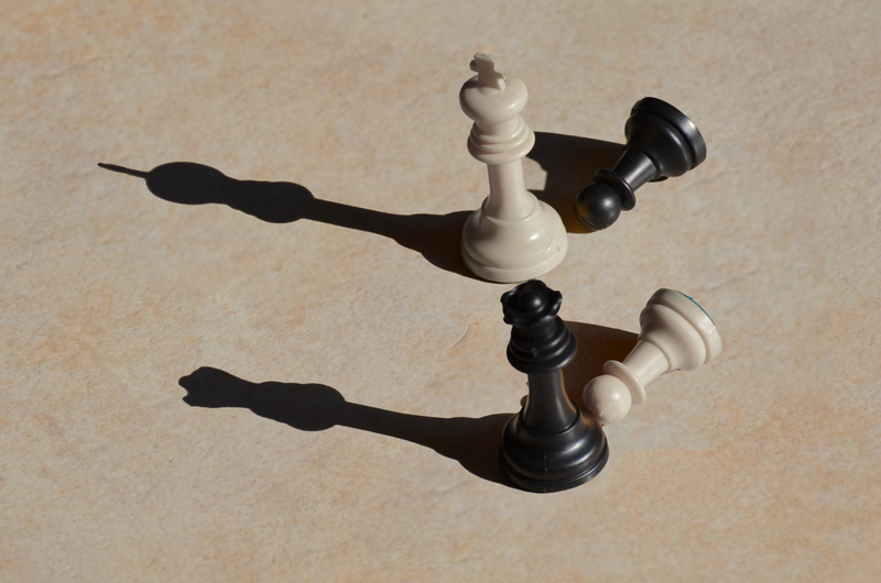 leisure games, chess piece, 4K, plan, control, board game, close-up, king - chess piece, knight, mate, nature, strategy, black color, arts culture and entertainment