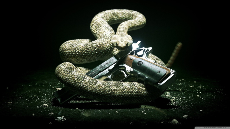 2012-wallpaper-2560x1440, absolution, hitman, 2K