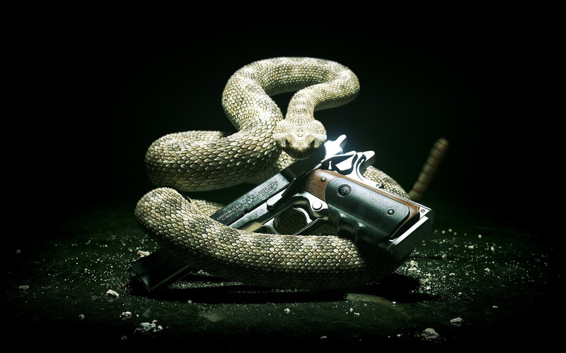 black, 2K, automatic, absolution, pistol, semi, 2012, hitman