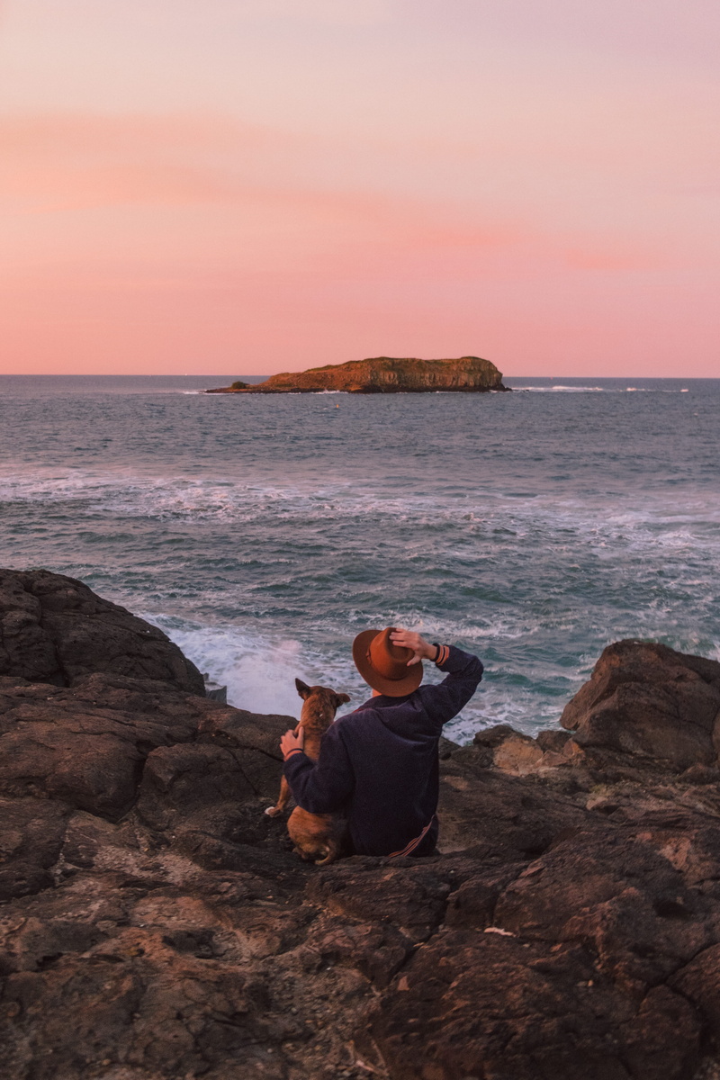 sitting, sea, ocean, bull, folk, magenta, man, hat, rock - object, horizon over water, real people, island, solid, jacket, land, sunset, beauty in nature