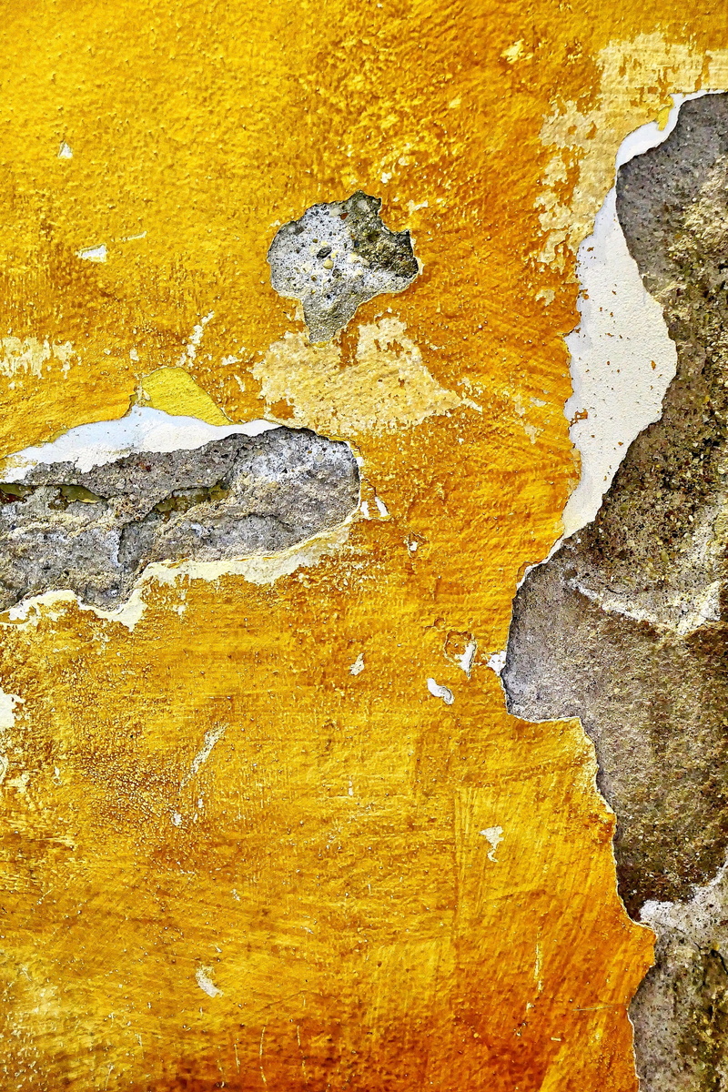 textured, rust, texture, weathered, rock - object, concrete, plant, abstract, backgrounds, built structure, colors, fossil, textured effect, yellow, nature