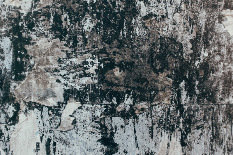 gray, tapestry, outdoors, advertisement, nature, art, ruined, decline, bark, kortrijk, diagram, textured effect, white, rug, built structure, tree trunk