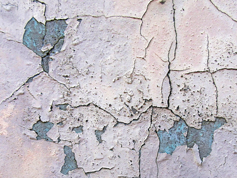 damaged, animal, mud, close-up, textured effect, concrete, slate, sports, invertebrate, textured, ruined, plot, flagstone, pattern, run-down, cement, peeling off