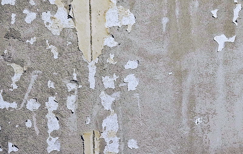 texture, map, wall, art, deterioration, outdoors, painting, 2K, pattern, text, full frame, run-down, stain, rough, rock, tree, wall - building feature
