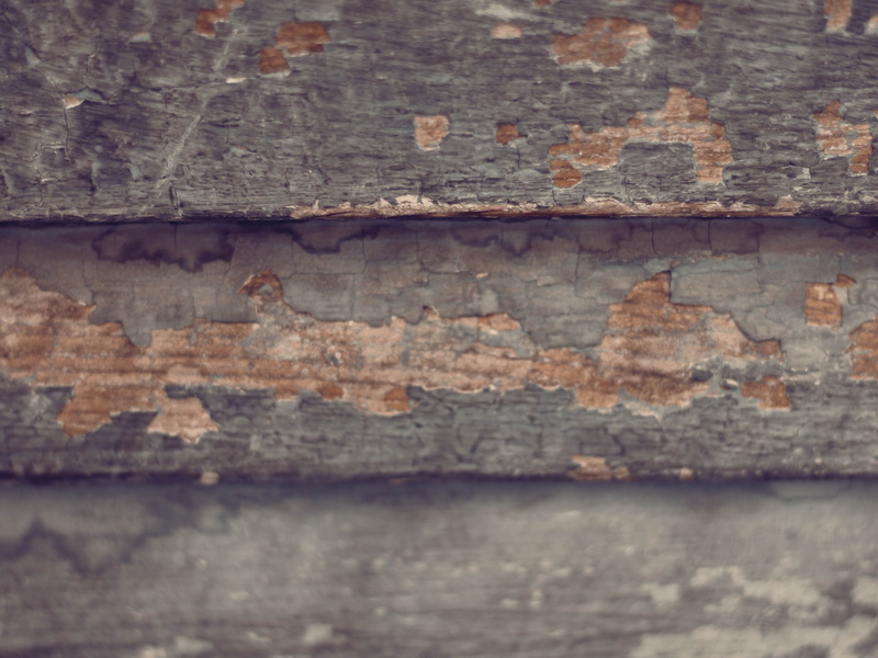 selective focus, book, steel, weathered, rock, concrete, nature, termite, metal, water, tabletop, wood, outdoors, insect, photography, day, furniture, texture