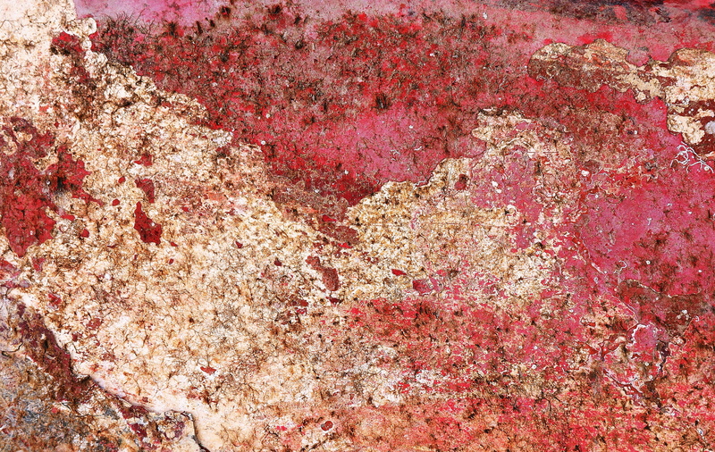nature, outdoors, land, accessories, backgrounds, rough, insect, jewelry, pink color, concrete, multi colored, rock - object, modern art, abundance, algae