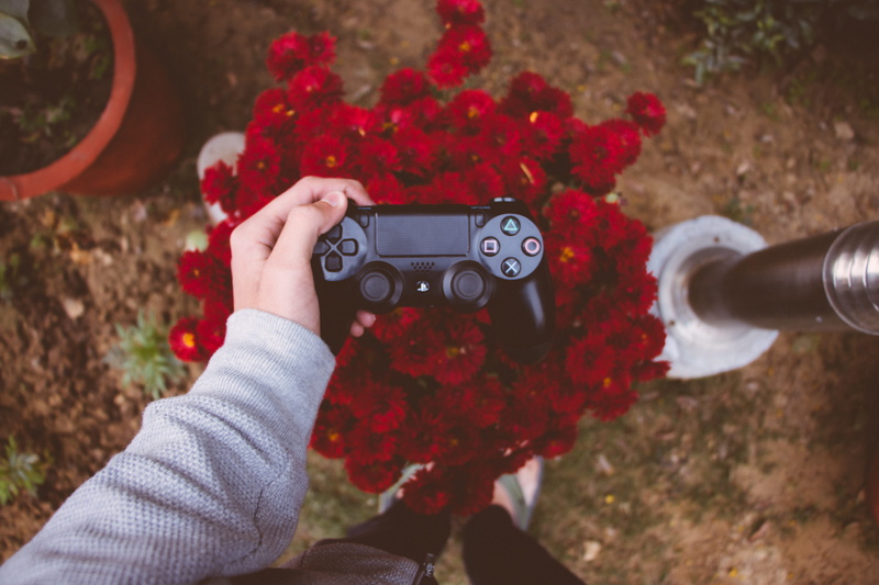 gamer, human hand, real people, gaming, holding, one person, nature, outdoors, plant, human body part, new delhi, focus on foreground, food and drink, freshness