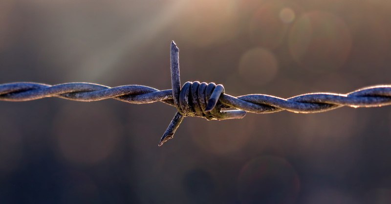 warning sign, fencing, barbed wire fence, 5K, imprisoned, wire fence, focus on foreground, wire, pink, fenced, focus, cobweb, alloy, obstacle, simplicity