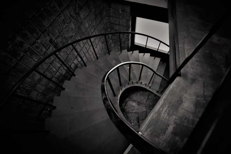 absence, snail, history, spiral, horizontal, wall - building feature, old, light, curve, no people, building, black and white, darkness, illuminated, backlight