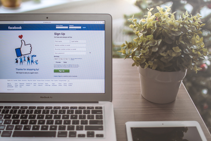 potted plant, office, business, home, computer, laptop, desk, technology, page, flowering plant, computer equipment, 4K, furniture, facebook, computer monitor