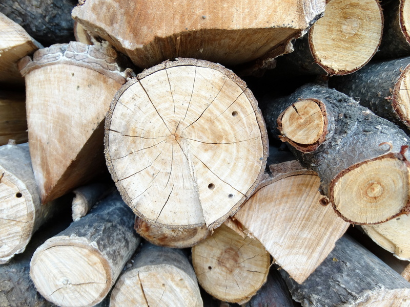 forest, fuel and power generation, lumber industry, large group of objects, shape, woodpile, 5K, stack, fossil fuel, wood, backgrounds, deforestation