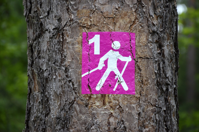 ski, sport, sign, human, tree trunk, hiking, plant, outdoors, running track, representation, close-up, pictogram, focus on foreground, run, 4K, trunk
