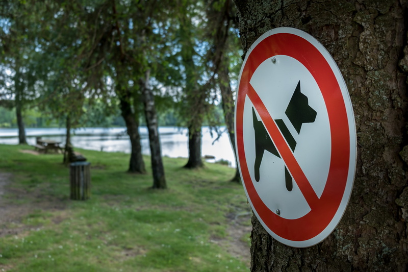 day, communication, guidance, geometric shape, road sign, icon, sign, prohibition, 5K, information, shape, nature, outdoors, pet, road, warning sign, forbidden