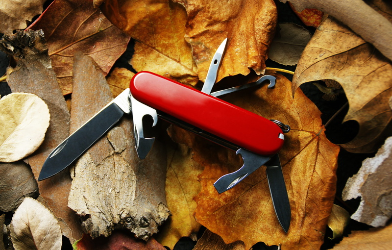 swiss army knife, indoors, food, screwdriver, work tool, table, plant part, close-up, tool, beer bottle opener, no people, 4K, equipment, high angle view