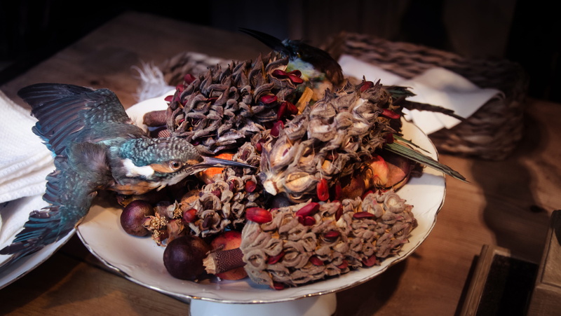 focus on foreground, tray, Plate, food, healthy eating, decoration, table cover, dinner, freshness, serving suggestion, seafood, Cover, animal, serving size