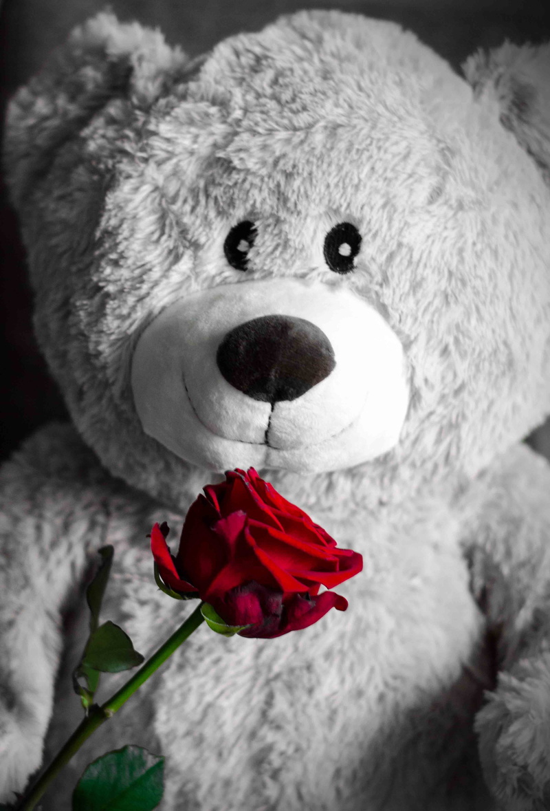 affection, stuffed animal, flower head, red, loyalty, sweet, freshness, fragility, cute, flower, nature, representation, atmosphere, indoors, romance, softness