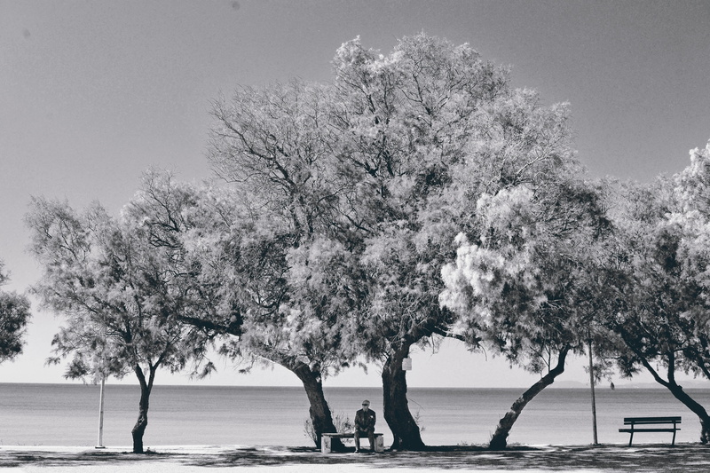adult, black and white lasndscape, memory, outdoor, summer, time, season, scenic, seascape portrait, plant, real people, horizon, trees, 4K, old man on the bench