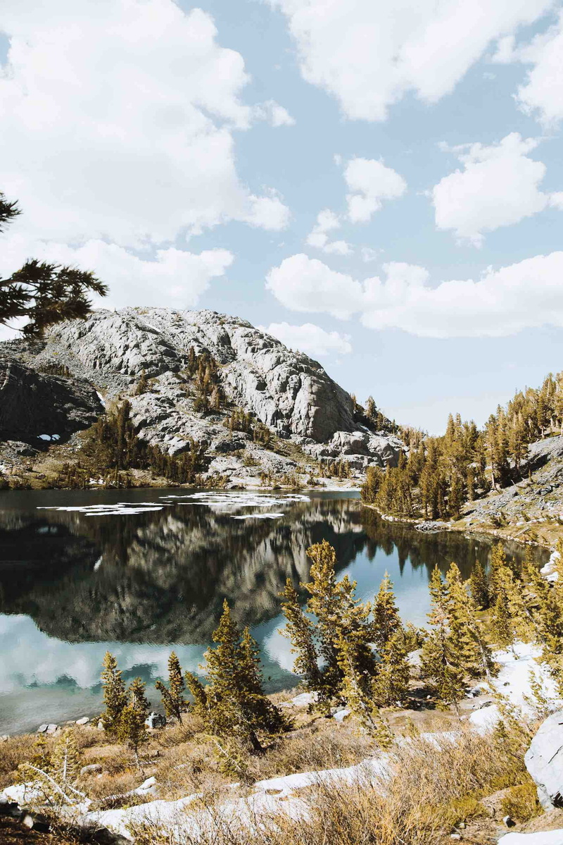 outdoor, green, tranquil scene, www.crm-media.com, water, gray, brown, leaf, plant, mountain, wilderness, day, beauty in nature, snow, nature, rocky, plants