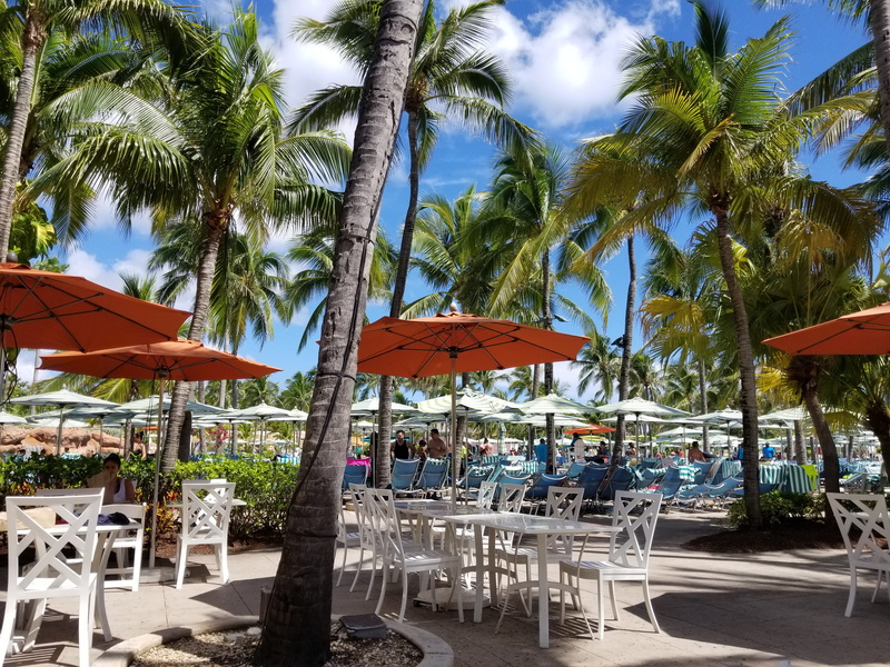 nature, canopy, parasol, the bahamas, 4K, beach, protection, water, land, table, plant, tree, umbrella, new providence, lounge chair, palm tree, outdoors