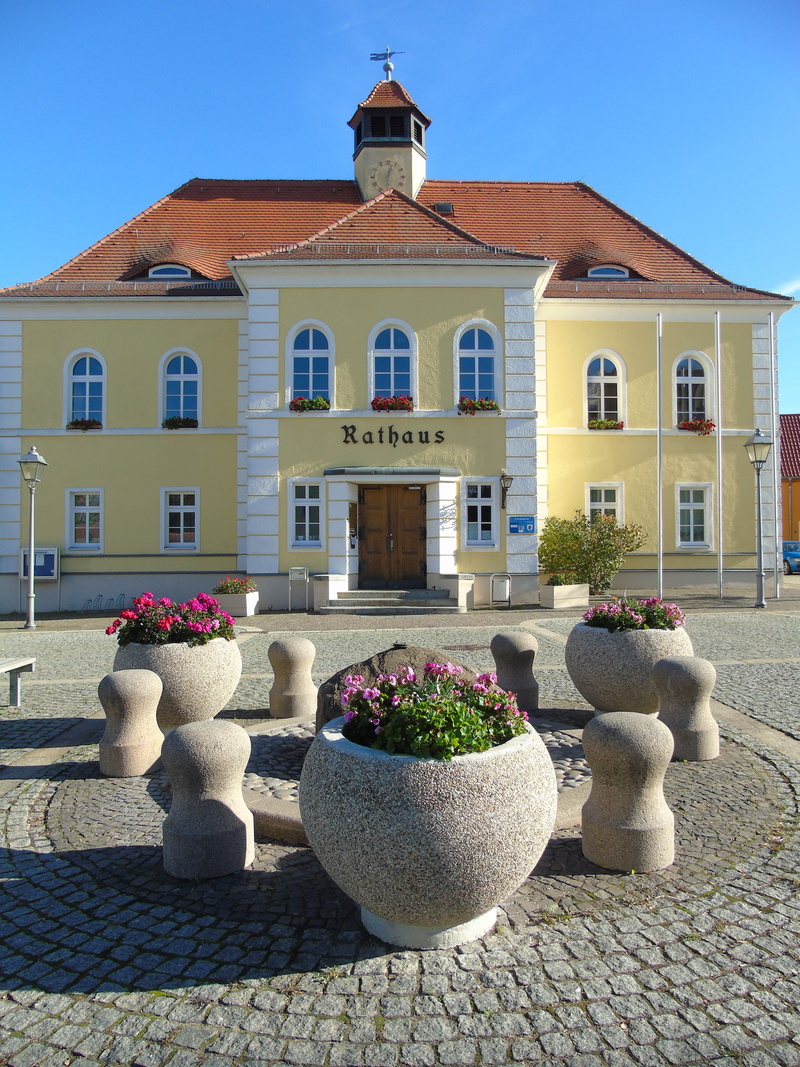 city, clear sky, ehrenamt, stone material, town hall, building exterior, no people, building, architecture, residential district, plant, house, sunlight