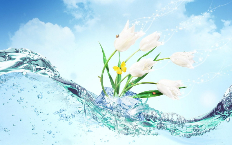 artwork, fresh, tulips related, 2K, con, fresco, nature, white flowers, ambientador, olor