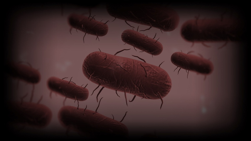 plague inc evolved, 1080P