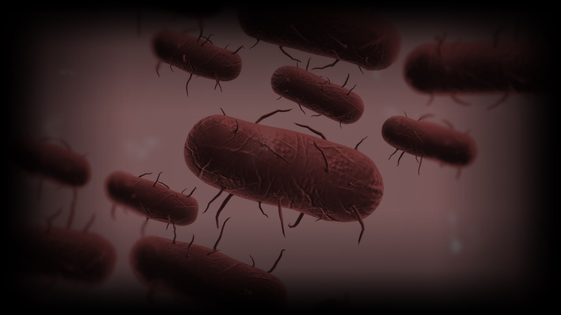 Plague Inc: Evolved, 1080P, Video Game
