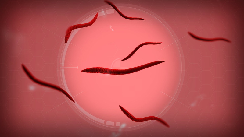 virus, simulation, bug, evolved, 1080P, plague inc, strategy, horror, plague