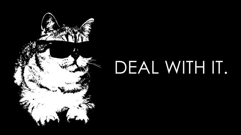 western script, humor, 1080P, no people, whisker, night, animal representation, animal, pets, domestic animals, text, cat, animal themes, dark, sunglasses