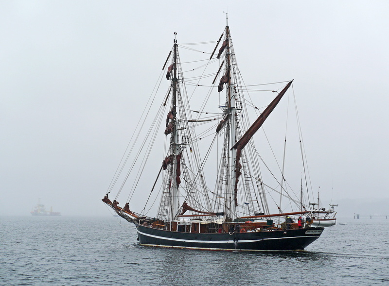 black, participation in kiel week, history, nautical vessel, travel, jersey, zweimaster, pole, sailing, sailboat, fog travel, mode of transportation, parade