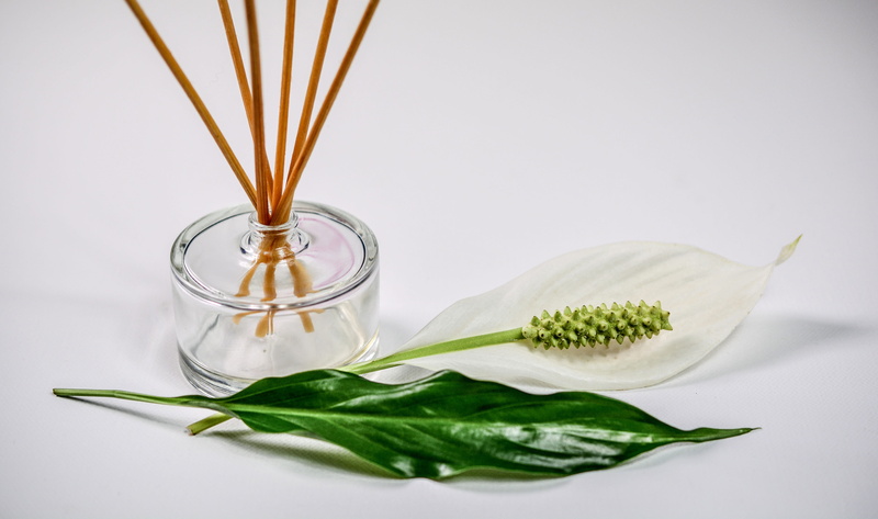 wooden, therapy, wellness, decoration, flower, 5K, petal, plant, aromatic, surface, organic, bottle, scent, aromatherapy, plant part, studio shot, photo