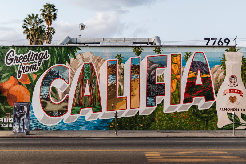 beside, plant, nature, day, creativity, graffiti, gray, milk, califia, text, wall, western script, architecture, art, road, daytime, art and craft, street