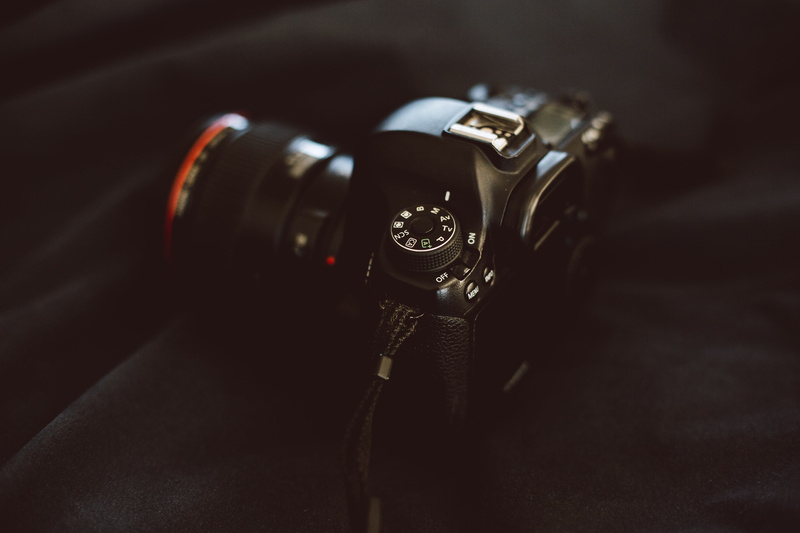 dslr, strap, 5K, connection, selective focus, animal, digital camera, arts culture and entertainment, webpage, camera, photography themes, camera lens