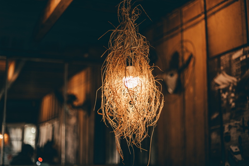 close-up, illuminated, incandescent, ceiling, bulb, photography, focus, dark, light bulb, glass item, glow, indoors, 5K, electric, focus on foreground