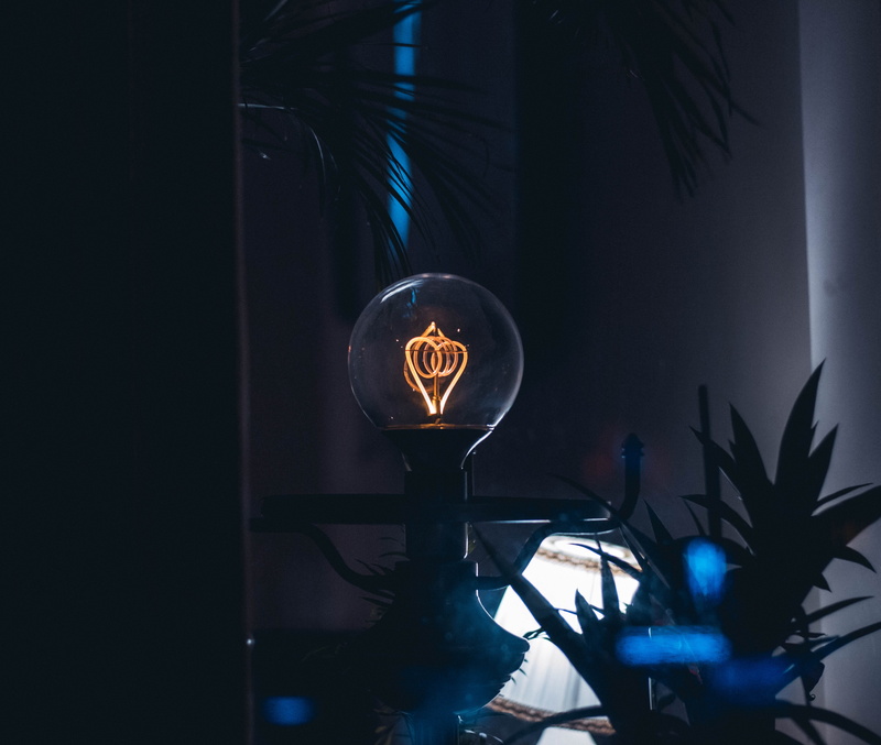 light, musical instrument, musician, neon, dark, night, transparent, electricity, leisure activities, indoors, illuminated, 50mm, plant part, palm tree