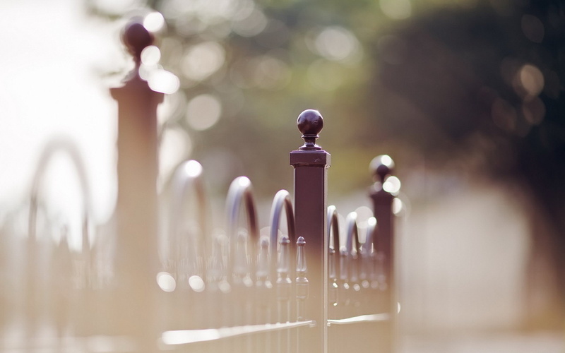 focus on foreground, 1920x1200 px, nature, soul, in a row, close-up, arrangement, video, macro, depth, selective focus, art, photography, water, group of objects
